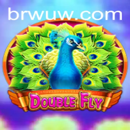Descubra o Fascinante Mundo de DoubleFly: Inovação e Competição